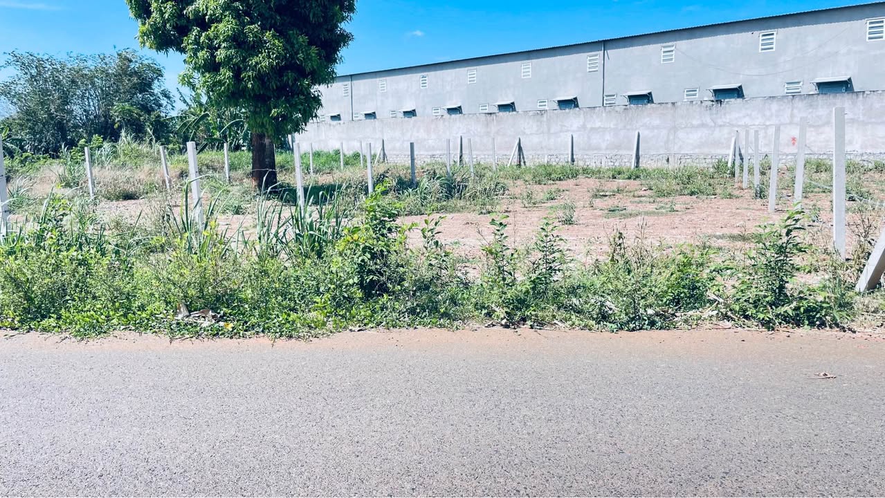 Bán Đất Mặt Tiền Lê Thị Hồng Gấm, Bình Chánh 352m² - Sổ Hồng Sẵn Sàng