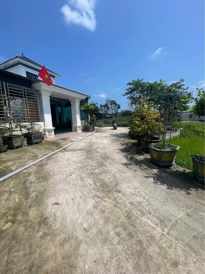 Đất nền Diễn Châu 130m² - Lô góc tiềm năng, giá nhỉnh 1.1 tỷ