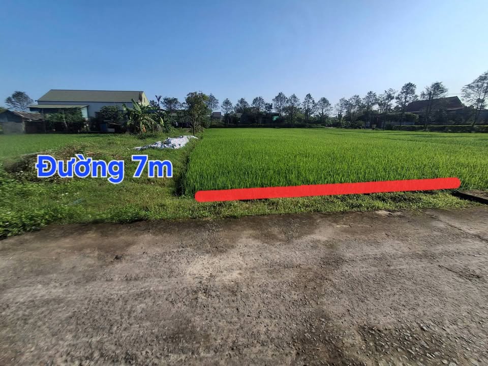 Đất 2 Mặt Tiền 115.3m² Thôn Bình Yên, Anh Sơn - Sổ Đỏ Rõ Ràng