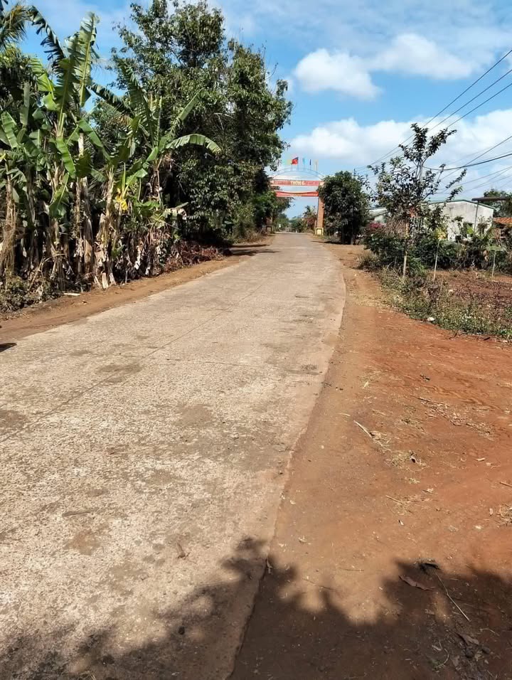 Đất Nền Buôn Phê 960m² - Mặt Tiền Đường 26m - Giá Đầu Tư Hấp Dẫn