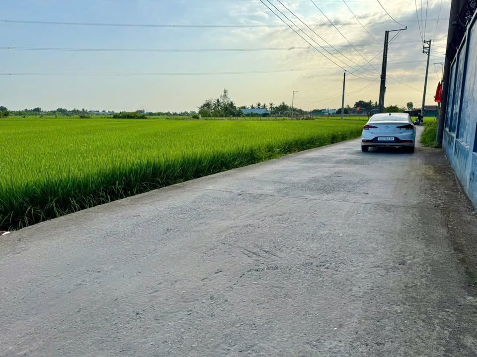 Đất Nền Lạc Tấn, Long An - 84m² Full Thổ, Giá 410 Triệu