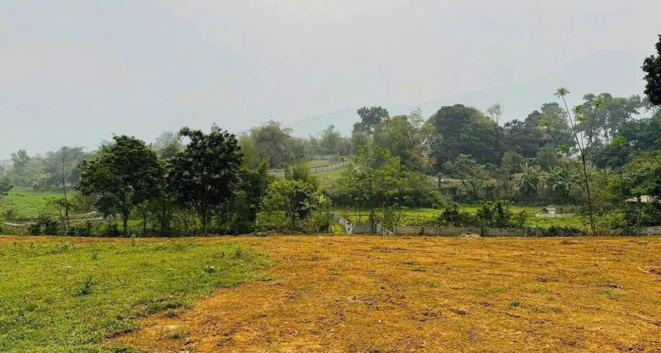 Đất nền Lương Sơn 2936m² - Sổ đỏ, Mặt đường to, View đẹp