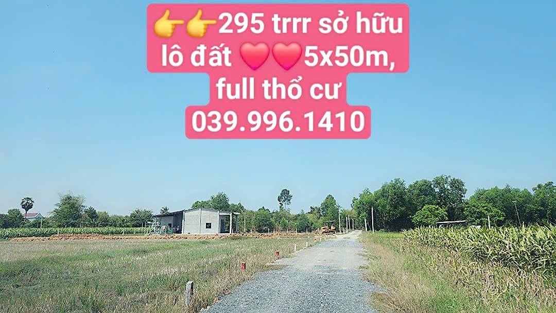 Đất Nền Tiên Thuận, Bến Cầu, Tây Ninh - 250m² Full Thổ Cư, Giá 2.95 Tỷ