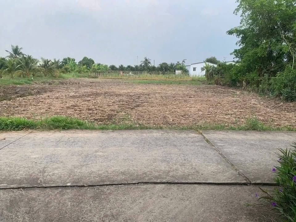 Đất Thổ Cư 165m² Mặt Tiền Ô Tô - Giá 599 Triệu Tại Châu Thành, Long An