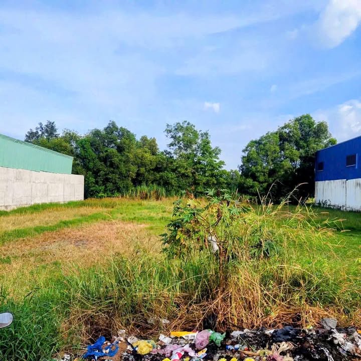 Kho Xưởng 1140m² Mặt Tiền Đường Container, Đức Hòa, Long An - 8.3 Tỷ