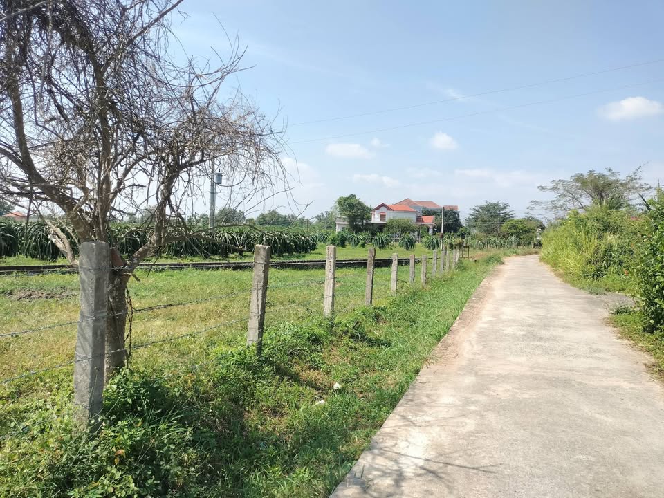 Bán Đất Nền Tuy Phong 1100m² Mặt Tiền 77m Đường Bê Tông - Tiềm Năng Lớn