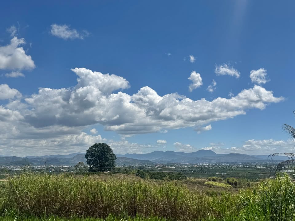 Đất Vườn Lâm Hà 1.3ha - Bám 2 Mặt Đường, Có Nhà Gỗ, View Thoáng