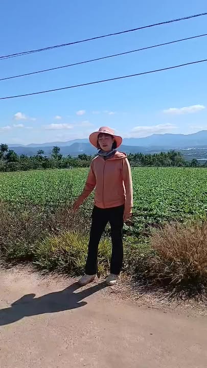 Đất 750m² Thổ cư Lâm Hà - Giá chỉ 470 Triệu