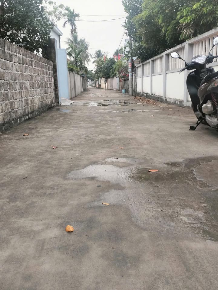 Đất Lô Góc Vĩnh Bảo, Hải Phòng - 110m² Gần KCN An Hòa - Giá Đầu Tư 1.x Tỷ