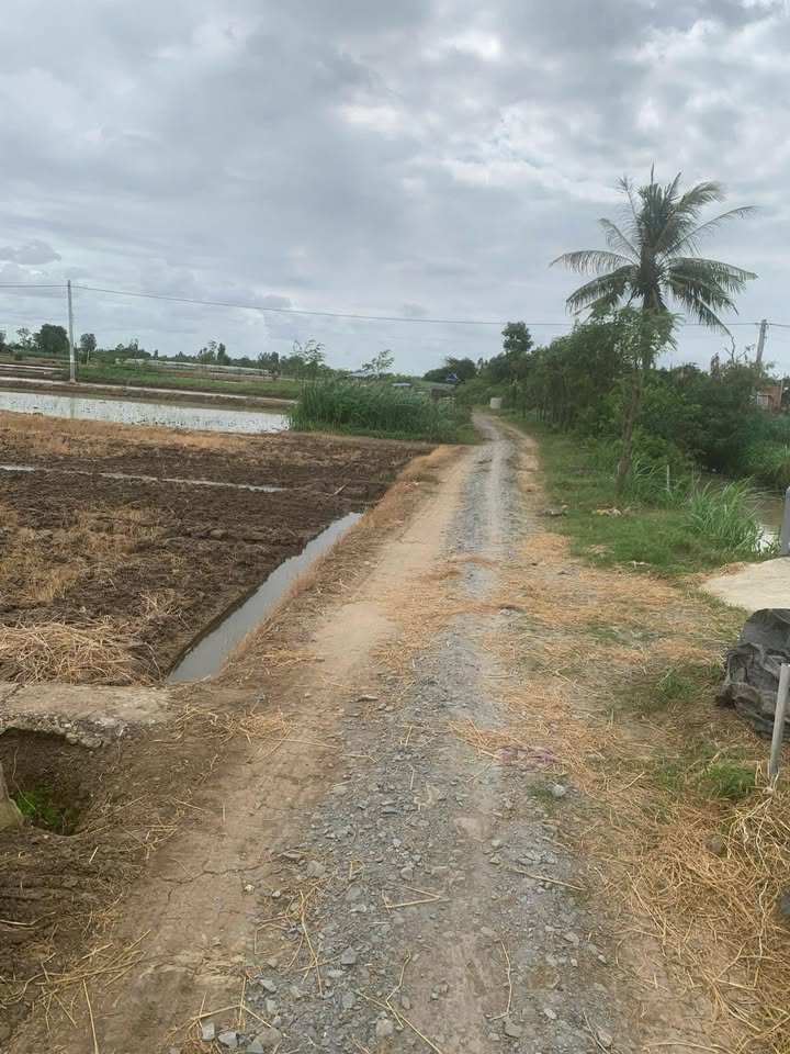 Bán Đất Vườn 1500m² Bình Nghị Gò Công - Sổ Đỏ, Giá 1.1 Tỷ