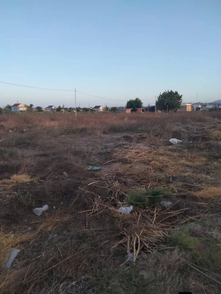 Đất Vườn Nghỉ Dưỡng Ninh Thuận 7200m² - Giá Đầu Tư 520 Triệu