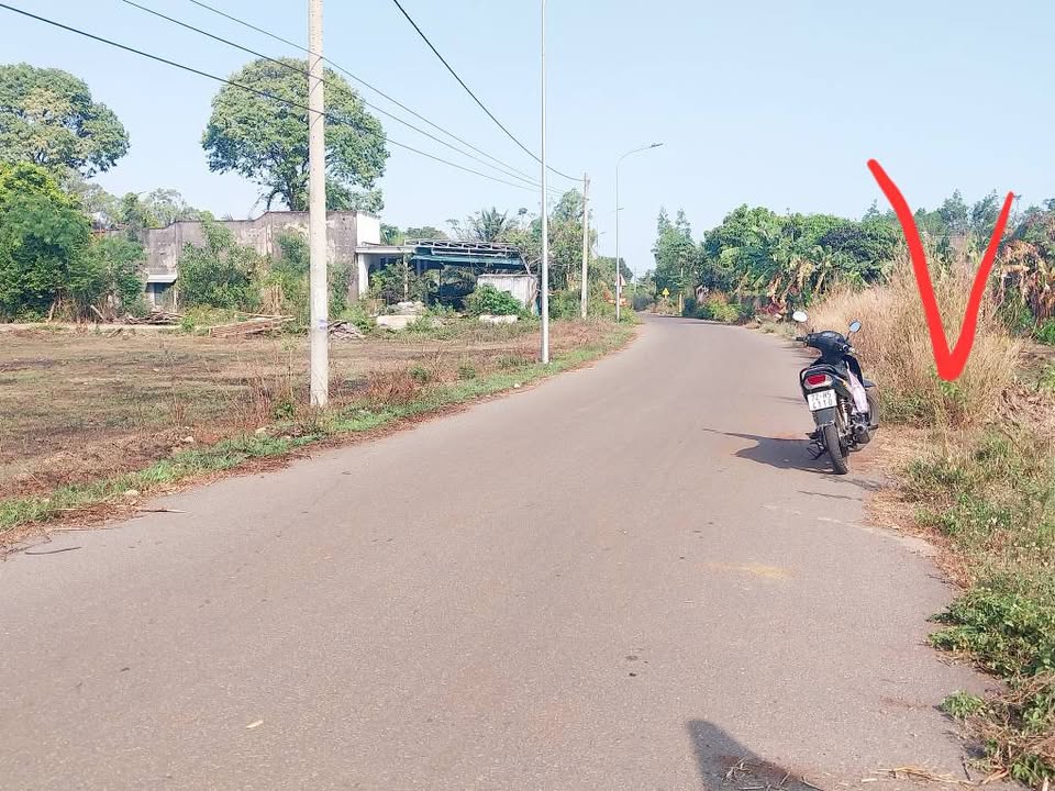 Đất Vườn 1349m² Mặt Tiền Đường Nhựa Châu Đức - Sổ Hồng Sẵn Sàng