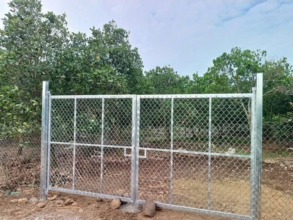 Bán Gấp 1000m² Vườn Mít Long Tân - Giá 1.35 Tỷ, Thu Hoạch Ổn Định