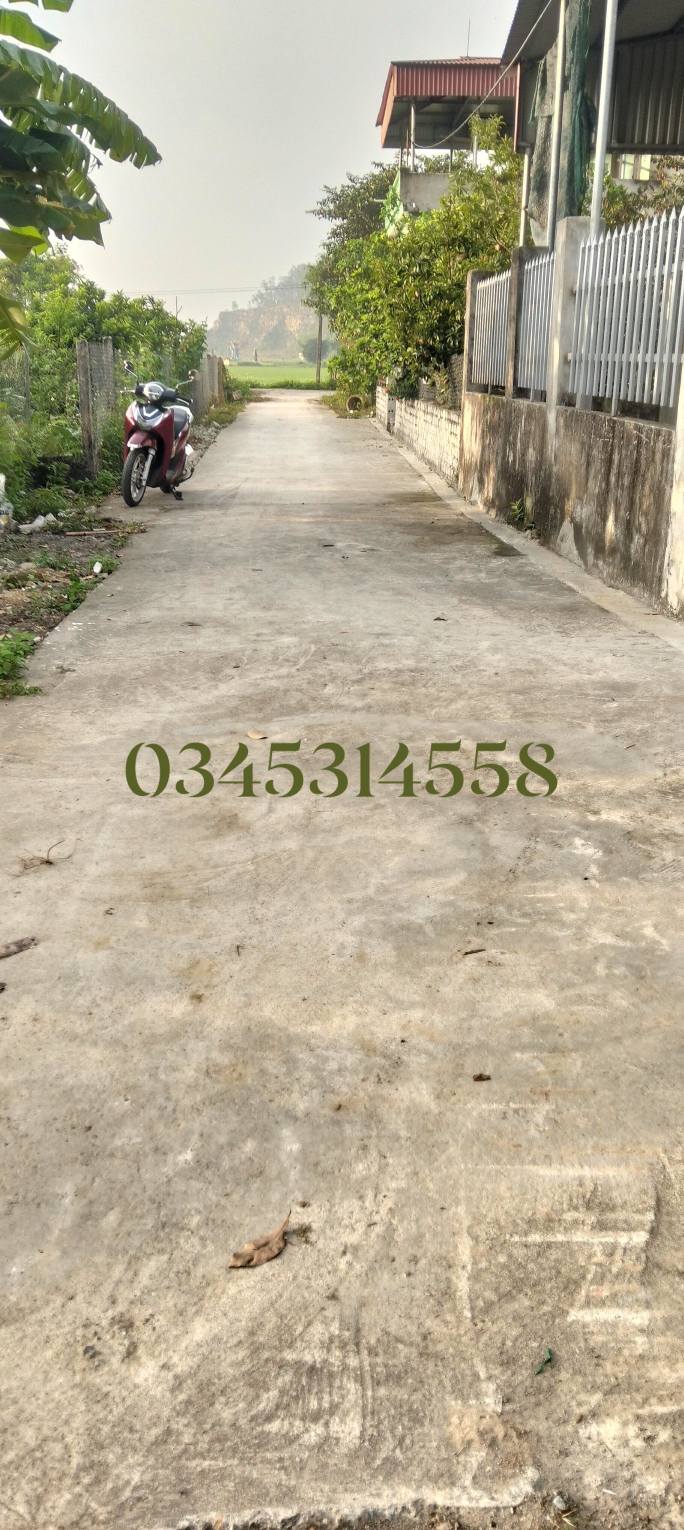 Bán đất Yên Lợi, Lý Nhân 200m² - Thổ cư 100%, ô tô vào tận nơi