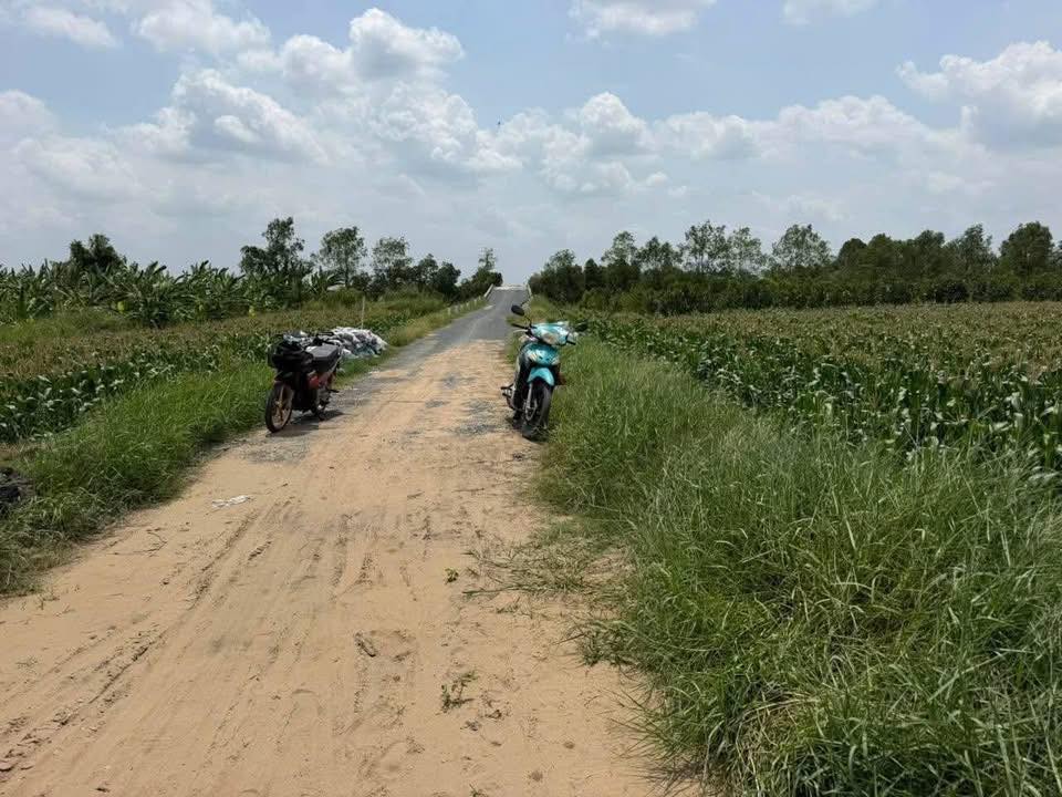 Bán Đất Vĩnh Long 700m² - Sổ Hồng Sẵn, Gần Chợ Xã Hời