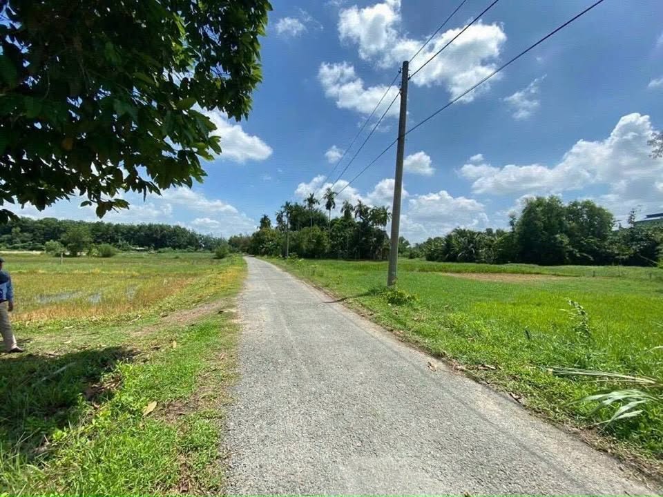 Đất Vườn Mặt Tiền Nguyễn Thị Ngoạn, Củ Chi - 1329m² Giá 5.3 Tỷ