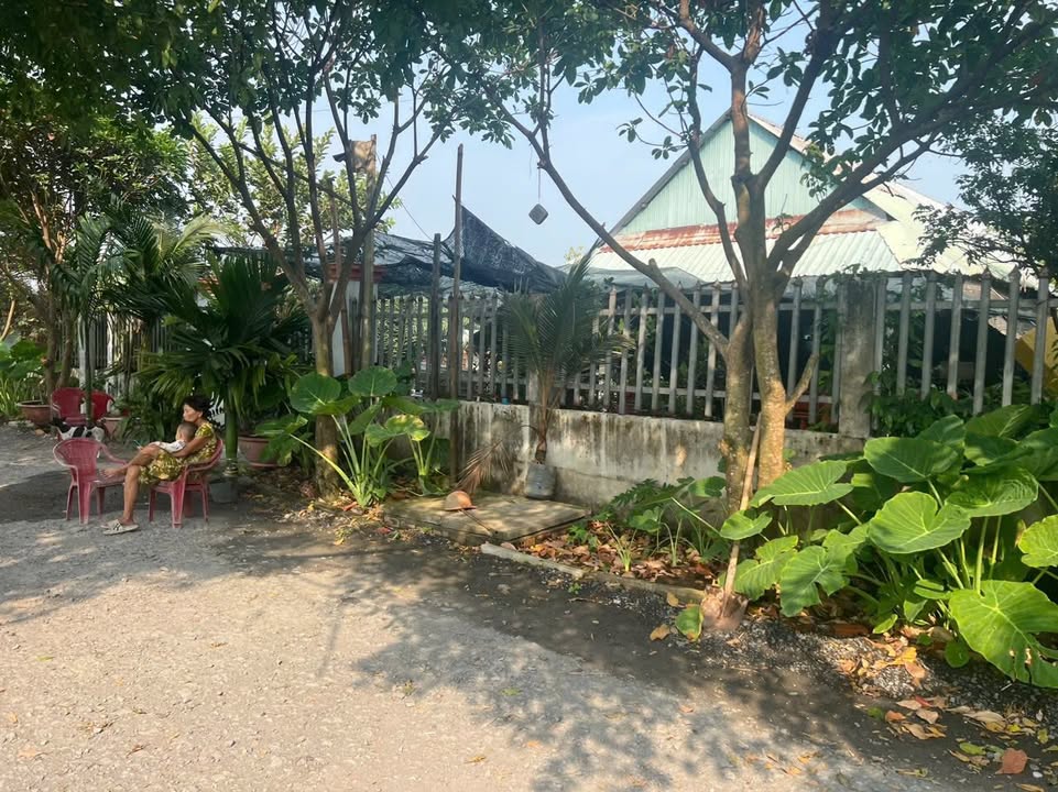 Bán Gấp Nhà Vườn Củ Chi 500m² - Giá Đầu Tư 2.8 Tỷ