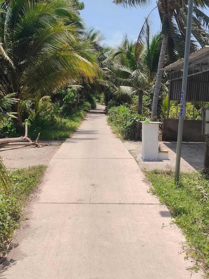 Đất nền Trà Cú 208m² giá chỉ 280 triệu - Sổ CLN, gần chợ Phước Hưng