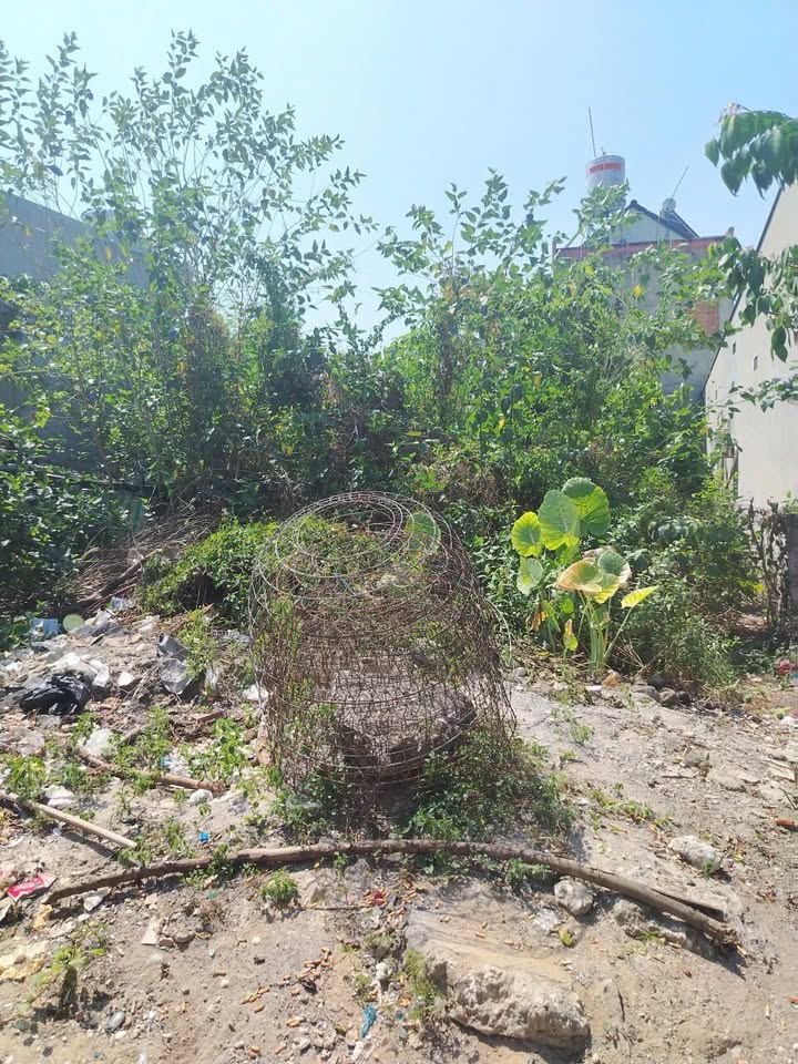 Đất Vàng Tân Phong, Biên Hòa 240m² - Sổ Hồng Riêng, Giá 1.5 Tỷ