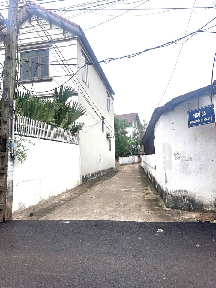 Đất thổ cư 90m² Tam Dương, Vĩnh Phúc - Oto vào tận nơi, giá 1 tỷ