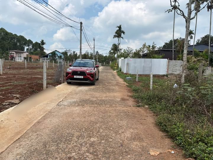 Đất Đắk Nông 1245m² - Sổ Thổ Cư, Giá 3.2 Tỷ, Tiềm Năng Đầu Tư Vượt Trội