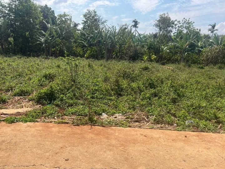 Bán Đất Thổ Cư 120m² Hẻm TL5, Tân An, Buôn Ma Thuột - Giá 1.55 Tỷ