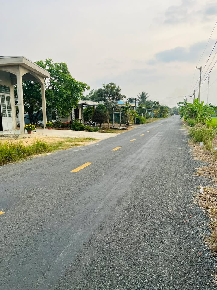 Đất Thổ Cư Mặt Tiền Trà Cú, Đức Huệ 600m² (15x40m) - Tách Sẵn 3 Lô, Giá 3.45 Tỷ