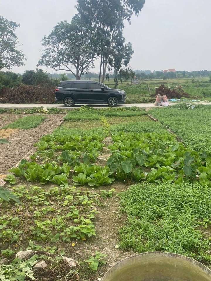 Đất nền Thủy Nguyên, Hải Phòng - 66.8m² - Giá đầu tư chỉ từ 5xx triệu