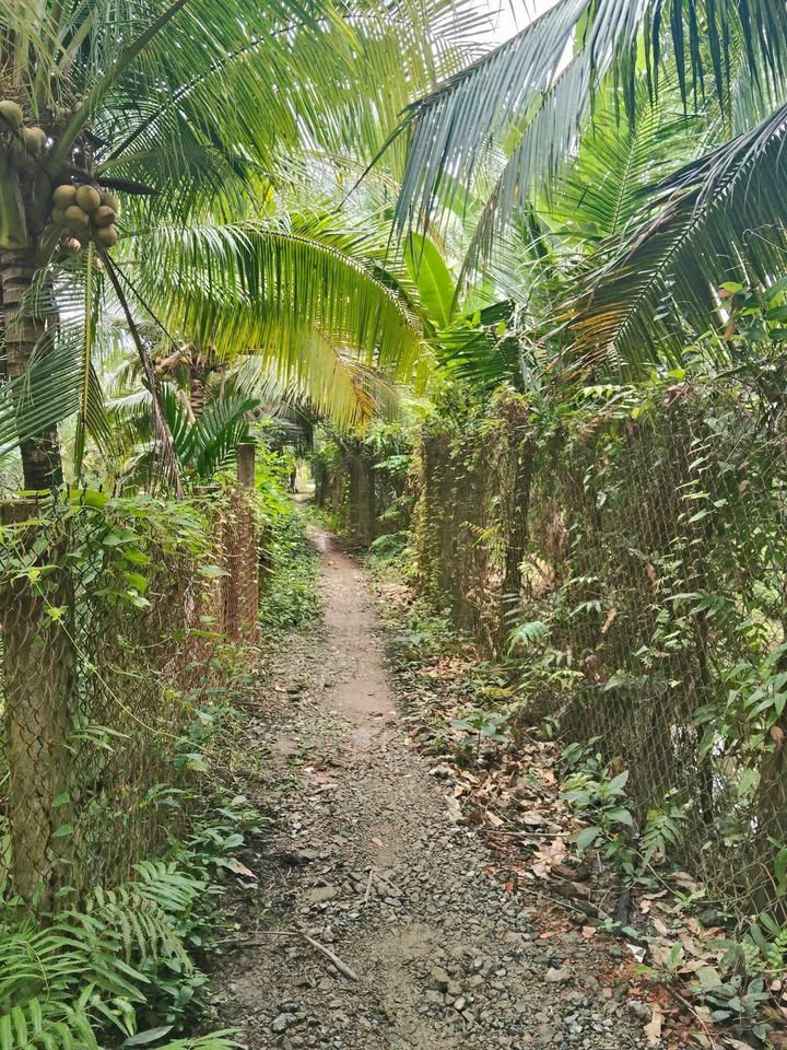 Đất Vĩnh Kim 540m² (12x45m) Giá 650 Triệu - Sổ Hồng Sẵn Sàng