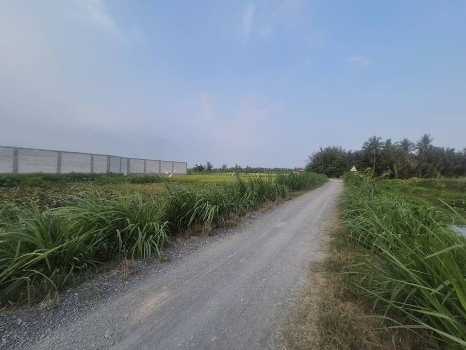 Đất nền Gò Công Tây 550 triệu - Sổ hồng thổ cư, tiềm năng sinh lời cao