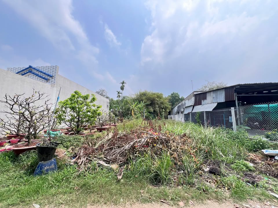 Đất Nền Sổ Riêng 94m² P.1, Q.6 - Giá 1.17 Tỷ, Hẻm Xe Hơi