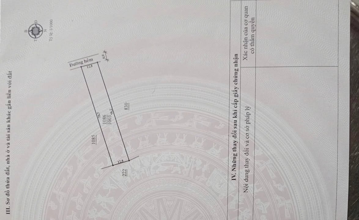 Đất Vàng Phường 2 Bảo Lộc - 1003m² - Sổ Đỏ Sẵn Sàng