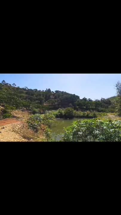 Bán Gấp 1.2ha Đất Vườn Cafe Trích Lục, Lộc Bắc, Bảo Lâm - Sổ Đỏ Sẵn Sàng