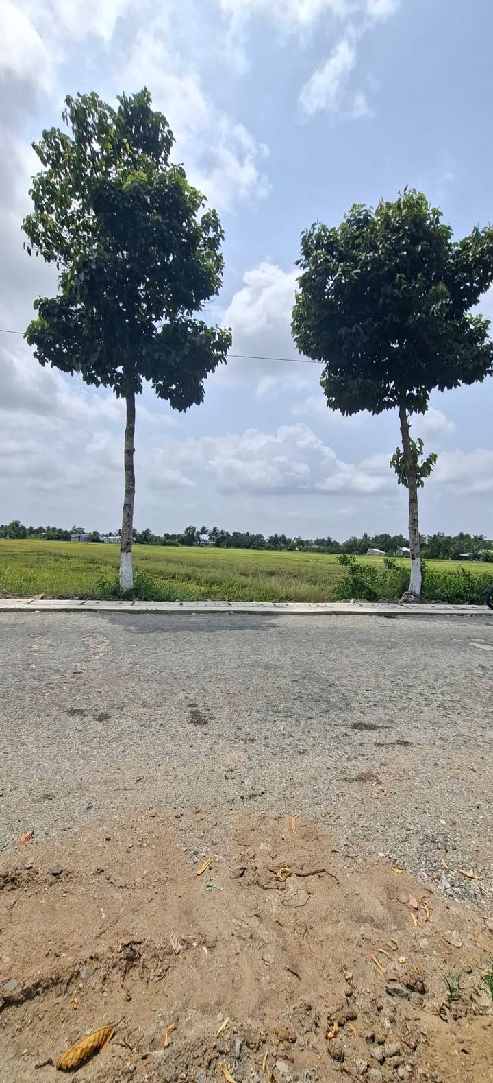 Đất Vàng Mặt Tiền Xuyên Á, An Giang - 6.500m² Sẵn Sàng Làm Kho Xưởng