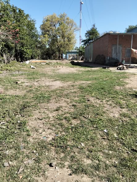 Đất nền QL14B Đắk Hà 250m² 2xx triệu - Sổ đỏ chính chủ