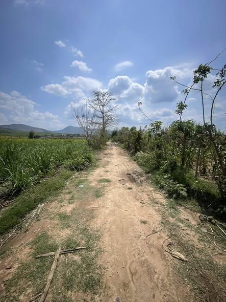 Bán Đất Nông Nghiệp 1200m² Phường Thống Nhất, Kon Tum - Giá 199 Triệu