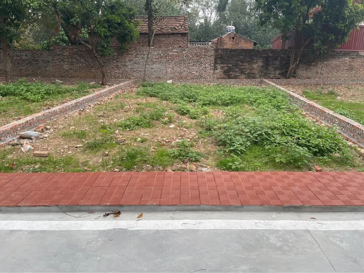 Đất thổ cư 80m² Mê Linh, Hà Nội - Sổ hồng sẵn, giá chỉ 2 tỷ