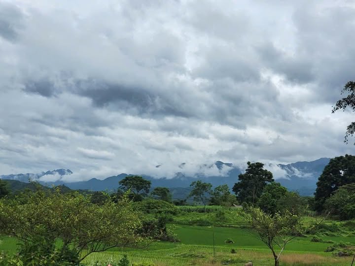 Bán Đất 1100m² Thổ Cư 100% Tại Tân Lạc, Hòa Bình - Giá 767 Triệu