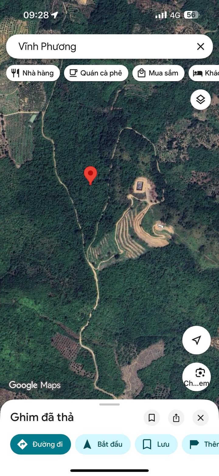 Đất Rừng Sản Xuất 10.000m² Vĩnh Lương, Nha Trang - Sổ Tọa Độ, Giá Tốt