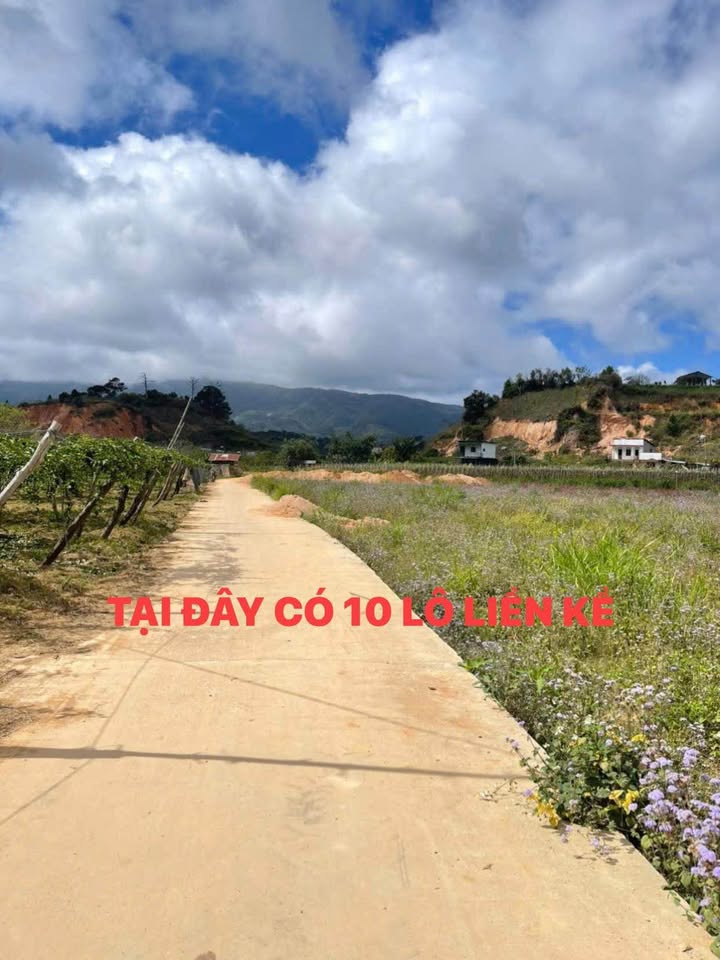 Đất nghỉ dưỡng D'Ran 75m² sổ thổ cư - Giá 550 triệu chính chủ