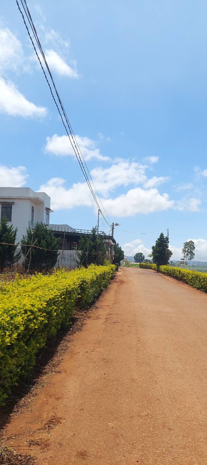 Đất Nền Đạ Ròn 214m² - Đầu tư sinh lời, view thoáng mát