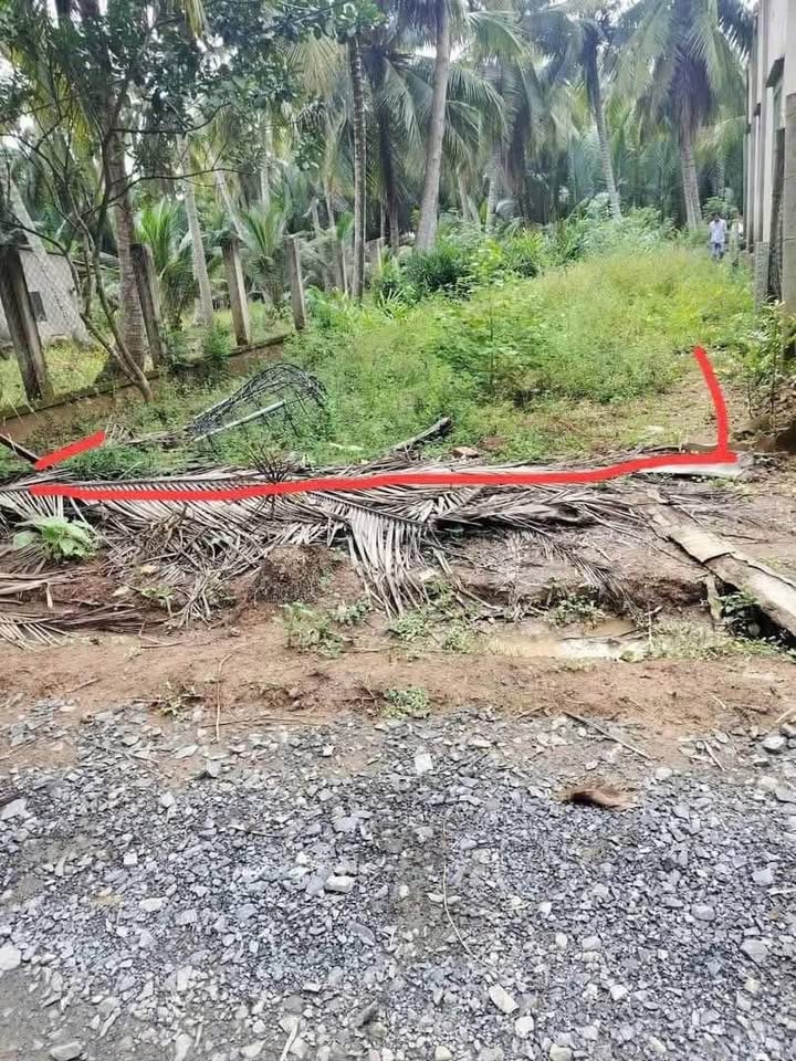 Đất Nền 375m² Bến Tre - Sổ Hồng 50m² Thổ Cư, Giá 360 Triệu