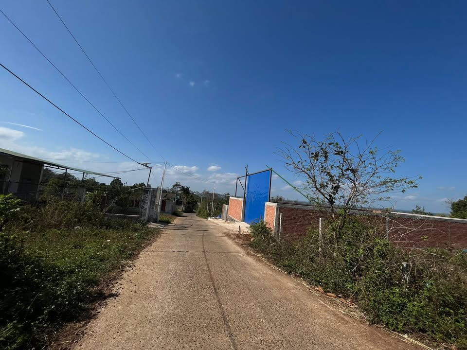 Đất nền 250m² đường thông ô tô Krông Pắc - Sổ đỏ thổ cư, giá 2.05 tỷ