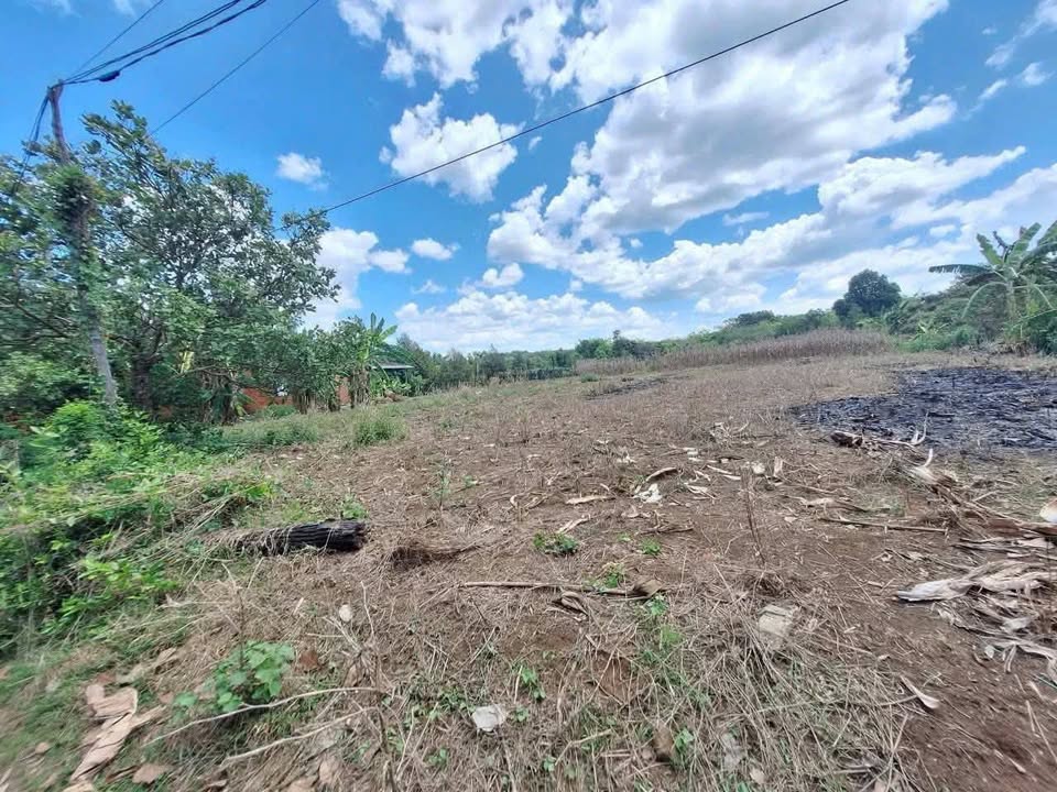 Đất Nền Lộc Ninh 2100m² - Sổ Đỏ Vuông Vắn, Giá Đầu Tư 480 Triệu