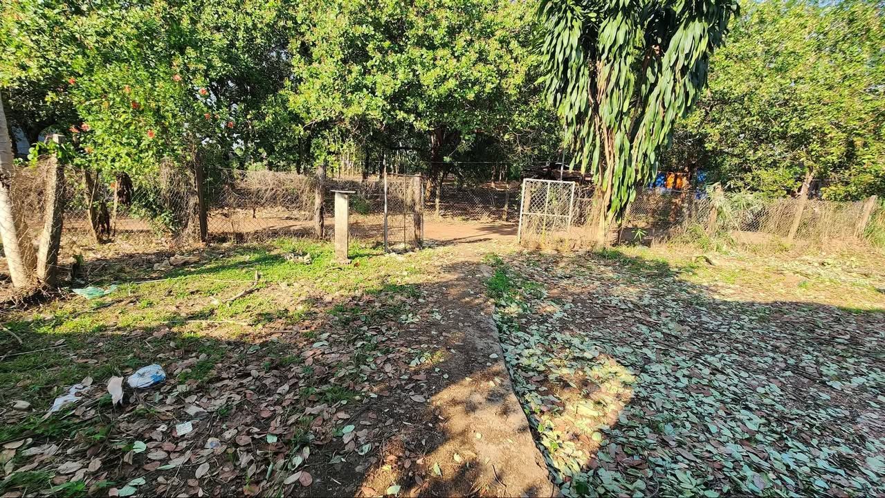 Đất Nền Đồng Phú 100m² Sổ Hồng Nở Hậu - Giá Chỉ 495 Triệu