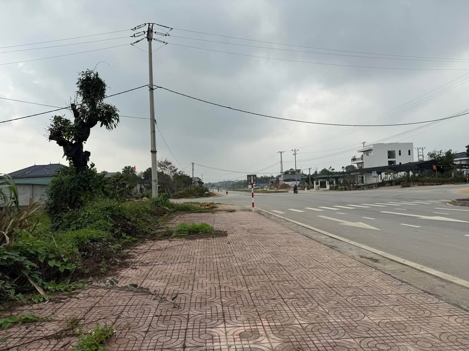 Đất Nền Tuyên Quang 480m² Mặt Tiền 17m - Sổ Đỏ Rõ Ràng