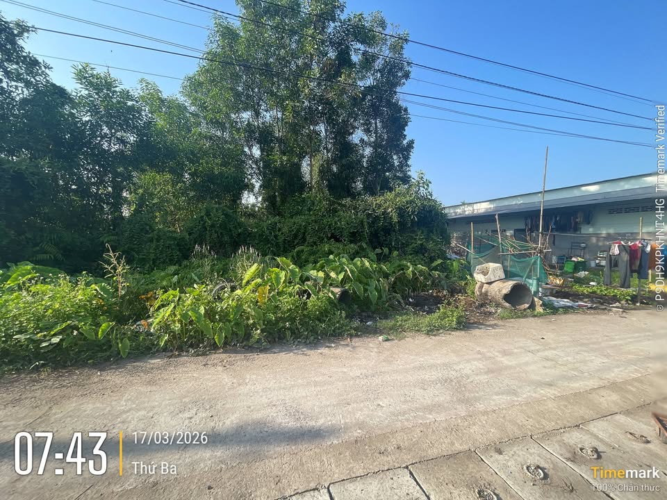 Đất Nền Nhơn Trạch 292m² Sổ Riêng Thổ Cư - Giá 2.6 Tỷ