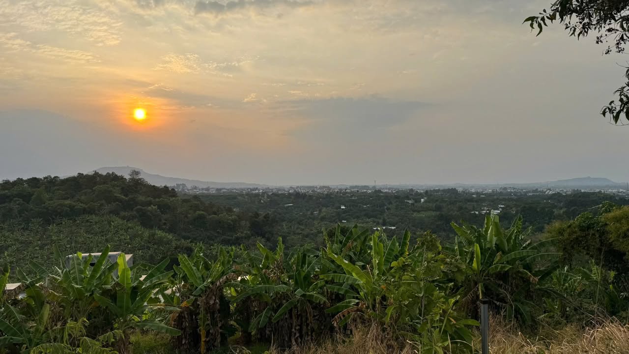 Đất Vàng Đồng Nai 1353m² - Mặt Tiền Rộng 22m - Giá 1.2 Tỷ