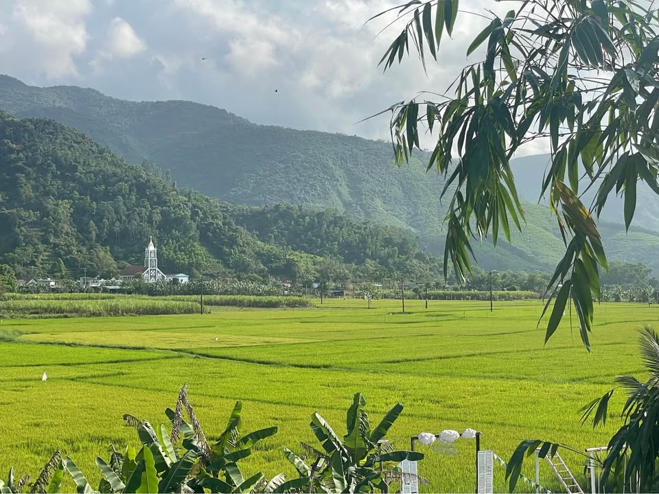 Nhà Cấp 4 Hòa Bắc 340m² Giá 2.5 Tỷ - Sẵn Sàng Dọn Vào Ở Ngay