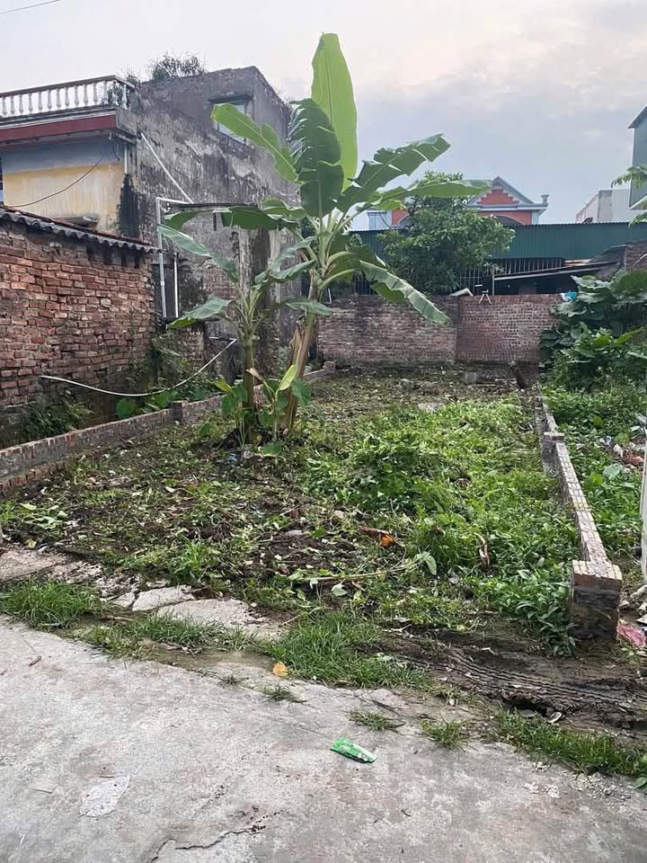 Bán Đất Nền 60m² Thạch Khôi, Hải Dương - Đường Ô Tô, Sổ Đỏ Sẵn Sàng